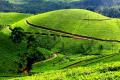 MUNNAR - ST2