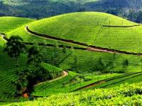 MUNNAR - ST2