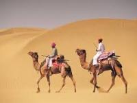 AHAMEDABHAD - JAISLAMER - JODHPUR - JAIPUR - ST16